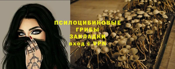 прущие крисы Балахна