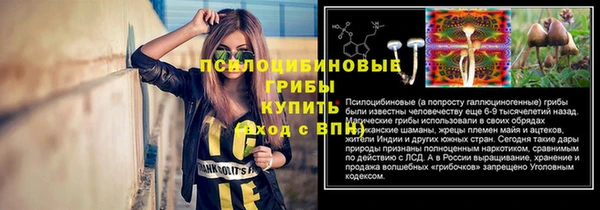 прущие крисы Балахна