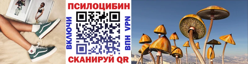 Галлюциногенные грибы MAGIC MUSHROOMS  купить закладку  Беломорск 